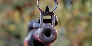 Lelőttek egy kutyát az egyik pogányi ház udvarán, a helyiek dühösek és félnek