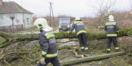 Kidőlt fák, oszlopok, elzárt utak - Így pusztított a vihar kedden Baranyában Kidőlt fák, oszlopok, elzárt utak - Így pusztított a vihar kedden Baranyában