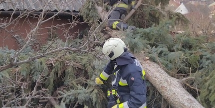 Szerdán sem kímélte a vihar a megyét, folyamatosan dolgoztak a tűzoltók Szerdán sem kímélte a vihar a megyét, folyamatosan dolgoztak a tűzoltók