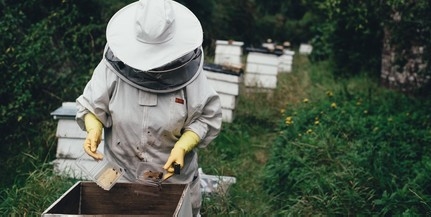 Duplájára emeli a méhészek támogatását a kormány