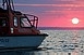 Pécsi orvhalászok akadtak horogra a Balatonon Pécsi orvhalászok akadtak horogra a Balatonon