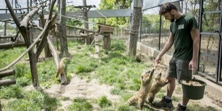 Jövő héten kinyithatnak a strandok, a kerthelyiségek és az állatkertek is