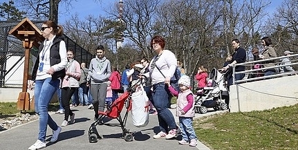 Szombaton kinyit a pécsi állatkert - Maszkban, egyszerre legfeljebb négyszázan mehetnek be