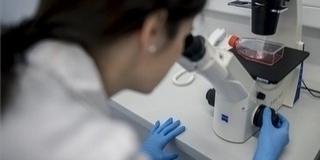 Horvátországban harmadik napja nem diagnosztizáltak új fertőzöttet Horvátországban harmadik napja nem diagnosztizáltak új fertőzöttet