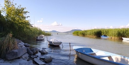 Tömegesen jelentek meg a kékalgák a Balatonban