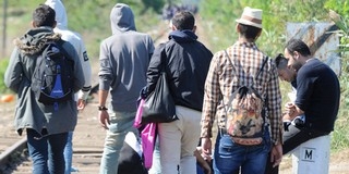 Magyarbólyban bóklászott egy migráns vasárnap Magyarbólyban bóklászott egy migráns vasárnap
