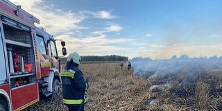 Kukoricatáblát veszélyeztetett egy baranyai tarlótűz