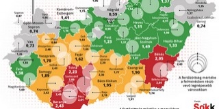 Elkészült az ország poloskatérképe - Baranya a leginkább fertőzött megye