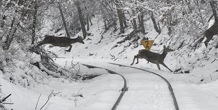 Sarkvidéki eredetű levegő árasztja el az országot, kemény fagyok várhatók