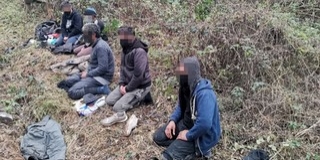 Öt migránst tartóztattak fel Baranyában a rendőrök Öt migránst tartóztattak fel Baranyában a rendőrök