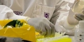 Pécsett és Szekszárdon is emelkedik a koronavírus örökítőanyaga a szennyvízben