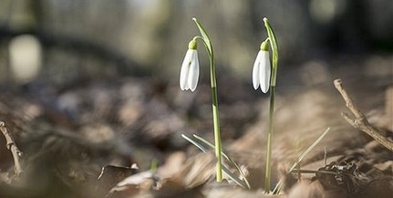 Csaknem húsz fok is lehet csütörtökön