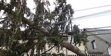 Fákat csavart ki, tetőket bontott meg a viharos szél Baranya megyében