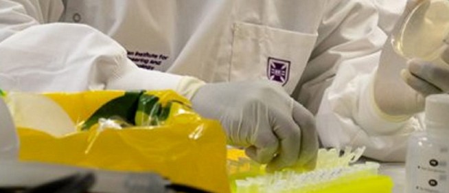Pécsett és Szekszárdon is nőtt a szennyvízmintákban a vírus örökítőanyagának koncentrációja Pécsett és Szekszárdon is nőtt a szennyvízmintákban a vírus örökítőanyagának koncentrációja