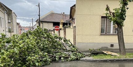 Nem kímélte a vihar Baranyát - Rengeteg dolguk volt a tűzoltóknak a hétvégén