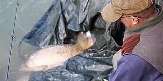 Négy év alatt megduplázódott a horgászok száma