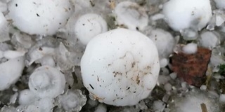 Gyűjtés indult a baranyai jégvihar károsultjainak - Több száz család várja a segítséget