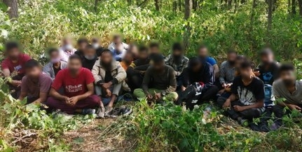 Egy csapat migránst tartóztattak fel a határvédők Baranyában