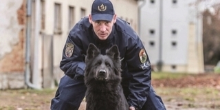 Kell az utánpótlás, szolgálati kutyákat keres a rendőrség