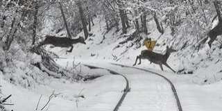 Hófúvás veszélyére figyelmeztet a Magyar Közút