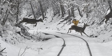 Egymás után érkeznek az időjárási frontok a jövő héten, jöhet, hó, eső, szél és napsütés