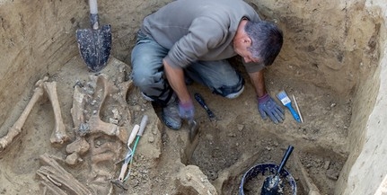 Leletekben nagyon gazdag avar kori temetőt tártak fel Babarc határában