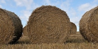 Elkészültek az Ős-Dráva Program kivitelezési munkái