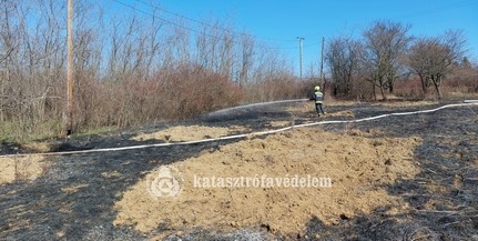 Szabadtéri tüzek miatt hívták sokszor a tűzoltókat Baranyában a hétvégén