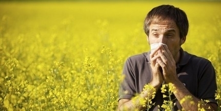 Egyre erősebb allergiás tüneteket okozhatnak a pázsitfűfélék