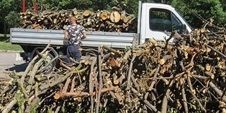 Nem igaz, hogy nyakra-főre kivagdossák az erdőket