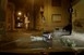 Részeg robogóst hajkurásztak Pécs belvárosában a rendőrök - Videó!