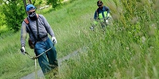 Kaszások lepik el a baranyai utak mentén az árokpartokat