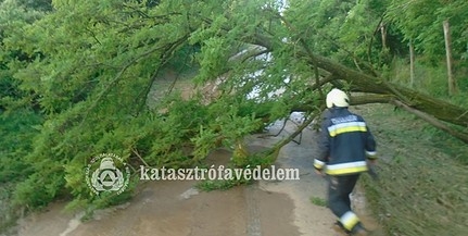 Elzárt utak, elöntött udvarok: így csapott le a vízözön Baranya vármegyére