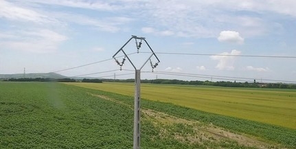 Különleges oszlopokkal ügyelnek a madarak biztonságára