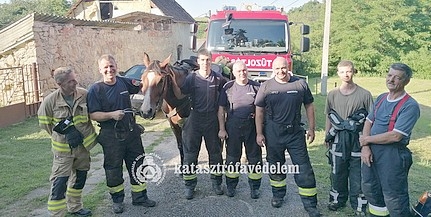 Gazdájával együtt csúszott mély árokba egy ló Baranyában