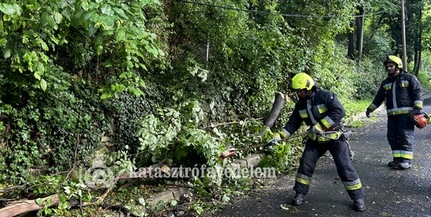 Vezetékeket szakított le, tetőket rongált, fákat döntött ki a vihar Baranyában