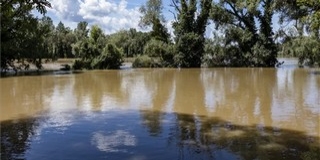 Megdőlt az árvízszint-rekord a Dráván