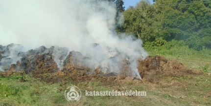 Lángoló lótrágya veszélyeztetett egy erdőt Baranyában