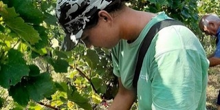 Püspöki áldással nyitották meg az idei szüreti szezont a Dél-Dunántúlon