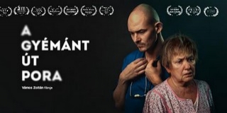 Ingyenes filmvetítésre hív az Alzheimer Café Pécs