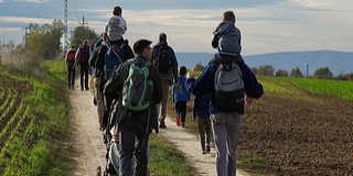 Újra apa-fia zarándoklat indul Máriagyűdre Felföldi László vezetésével