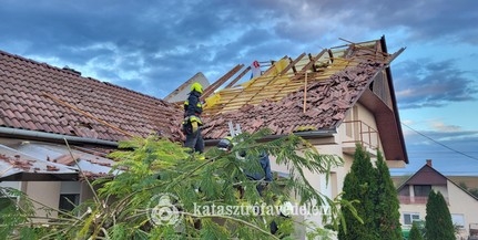 Kidőlt fák, megbontott tetők, elárasztott épületek: Baranya-szerte károkat okozott a vihar