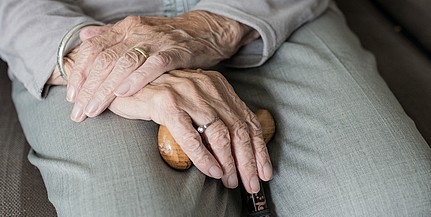 Ez lehet az Alzheimer-kór kialakulásának egyik oka