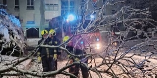 Több helyen is útzárat okoztak a hó súlya miatt kidőlt fák Baranyában