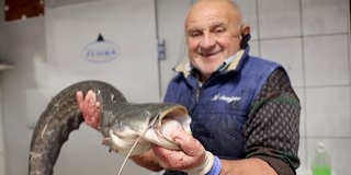 Hágendorn József szerint alig változtak a fogyasztói szokások - Nem emelkedett vészesen a hal ára