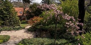 Verses sétát tehetünk József Attila születésnapján a Pintér-kertben