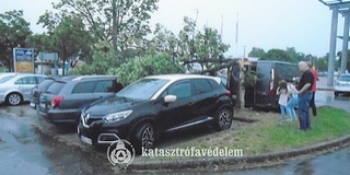 Fákat döntött Baranyában a vihar, sok dolguk volt a tűzoltóknak Fákat döntött Baranyában a vihar, sok dolguk volt a tűzoltóknak