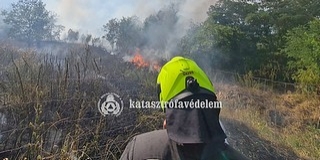 Szabadtéren keletkezett tüzek pusztítottak hétfőn Baranyában Szabadtéren keletkezett tüzek pusztítottak hétfőn Baranyában