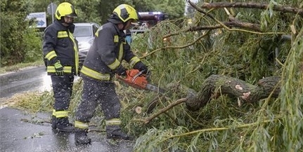 Így ne csinálja! Tűzzel próbált valaki darazsat irtani