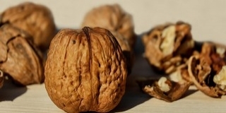 Nőtt a termőterület, mégsem nőtt a diótermés Nőtt a termőterület, mégsem nőtt a diótermés